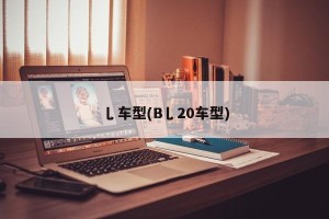 乚车型(B乚20车型)