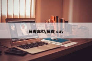 翼虎车型/翼虎 suv