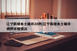 辽宁新增本土确诊28例/辽宁新增本土确诊病例详细情况