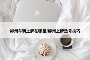 郴州车辆上牌在哪里/郴州上牌选号技巧