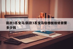 新款3系宝马/新款3系宝马格栅板维修需要多少钱