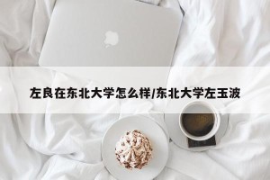 左良在东北大学怎么样/东北大学左玉波