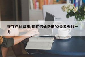 现在汽油费用/现在汽油费用92号多少钱一升